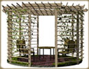 Pasted Graphic 5
