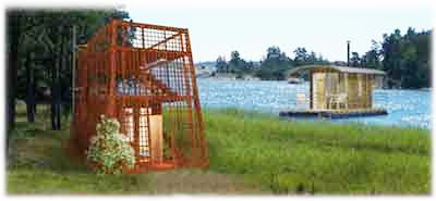 Pasted Graphic 1